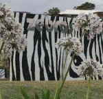 Zebras Guest House - New South Wales Tourism 