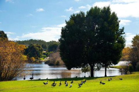 Ducks Bay - New South Wales Tourism  3