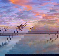 Global Backpackers Cairns - New South Wales Tourism 