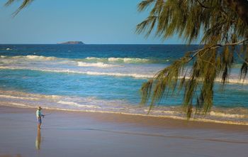 Pacific Royale Holiday Apartment 313 - New South Wales Tourism  2