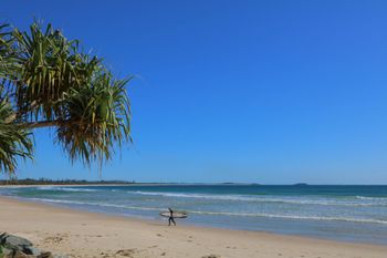 Pacific Royale Holiday Apartment 313 - New South Wales Tourism  3