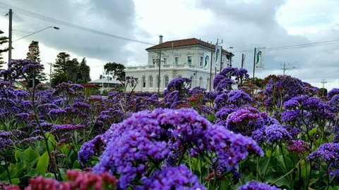 Georgia - New South Wales Tourism  3