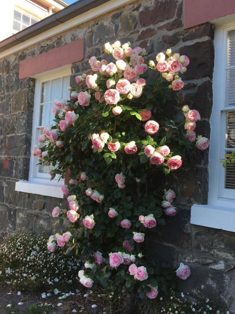 Georgia - New South Wales Tourism  6