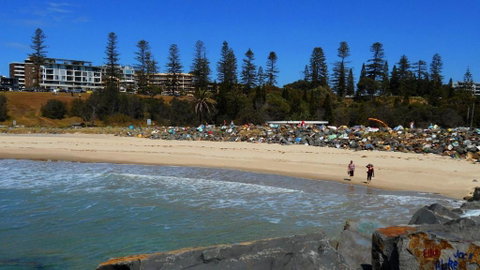 Akuna 23 6 Joffre Street - New South Wales Tourism  2