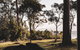 Seagrass On Sunset Bay - thumb 2