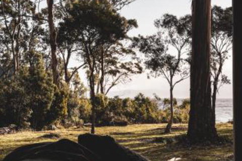 Seagrass On Sunset Bay - New South Wales Tourism  2