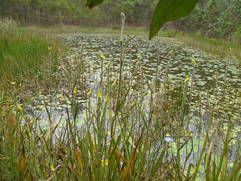 Back To The Bush - New South Wales Tourism  3