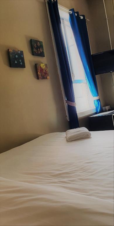 Shamrock Hotel Greenbushes - New South Wales Tourism  2