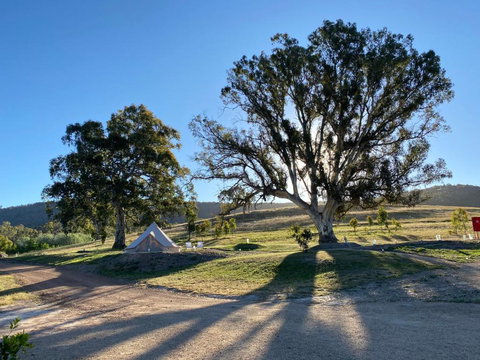Mansfield Glamping - New South Wales Tourism  3