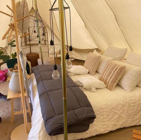 Mansfield Glamping - New South Wales Tourism  4