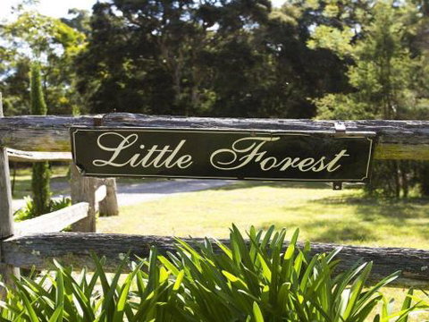 THE ANGAS CARRIAGE Alpine Southern Highlands 4pm Check Out On Sundays - New South Wales Tourism  5