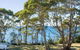 Rowse House Hyams Beach 4pm Check Out Sundays - thumb 5