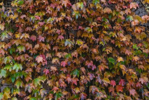 Killiorra - New South Wales Tourism  1