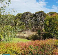 The Old Picnic Ground at Ironstone B  B - New South Wales Tourism 