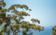 Sea Salt NARRAWALLEE - thumb 6