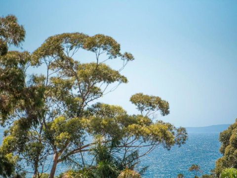 Sea Salt NARRAWALLEE - New South Wales Tourism  6