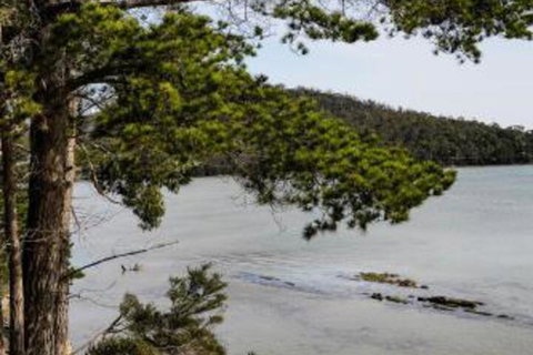 Rockpool Cottage - New South Wales Tourism  4