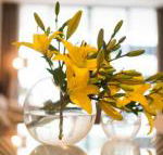 KUI Manhattan Apartments - New South Wales Tourism 