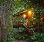 Wildwood - New South Wales Tourism 