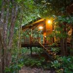 Wildwood - New South Wales Tourism  0