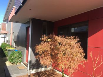 Brunswick Getaway - New South Wales Tourism  4