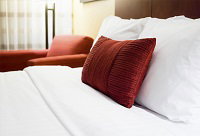Zetland Convenient Two Bedroom Apartment - New South Wales Tourism  0