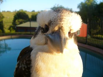 Belle La Vie B & B - New South Wales Tourism  3