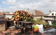 Clovelly Beach Cottage H372 - thumb 0
