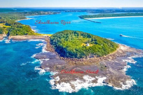 Dolphins Delight At Culburra Beach - New South Wales Tourism  4