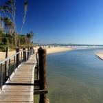 The Beach Arrawarra - New South Wales Tourism  0