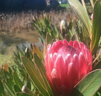 Creswick Cabin Retreat - New South Wales Tourism 