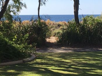 On The Shores Of Geographe Bay - New South Wales Tourism  5