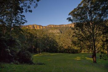 The Cedars Cottages - New South Wales Tourism  3