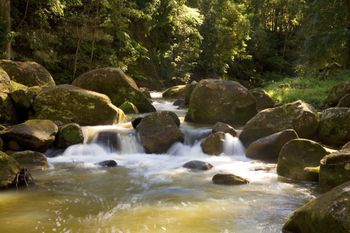 The Cedars Cottages - New South Wales Tourism  2