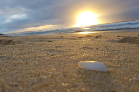 Eagles Loft - New South Wales Tourism  6