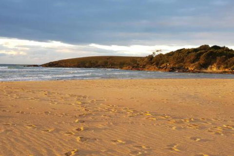 Eagles Loft - New South Wales Tourism  5