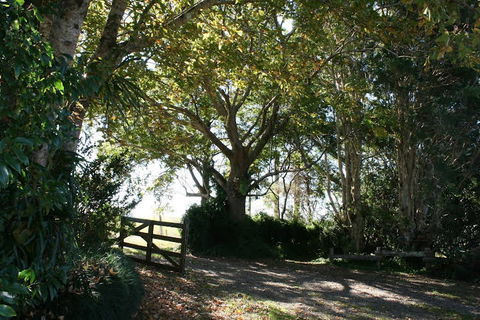 Maleny Mountain Retreat - New South Wales Tourism  0