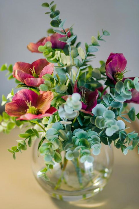 Yungaburra Heart B & B - New South Wales Tourism  4