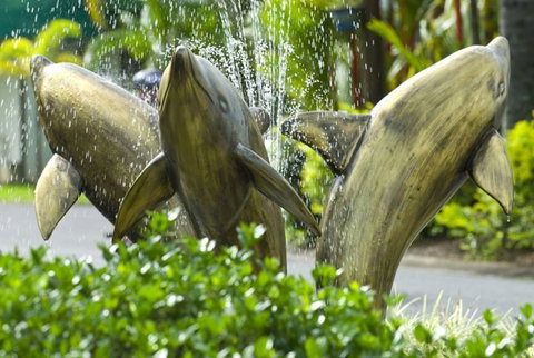 Cairns Coconut Holiday Resort - New South Wales Tourism  1