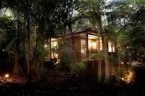 Amore On Buderim Luxury Rainforest Cabins - New South Wales Tourism  1