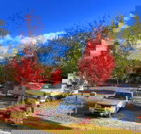 Beechworth Lake Sambell Caravan Park - New South Wales Tourism 