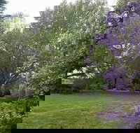 Petersons Armidale Winery  Guesthouse - New South Wales Tourism 