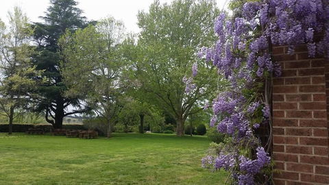 Petersons Armidale Winery & Guesthouse - New South Wales Tourism  0
