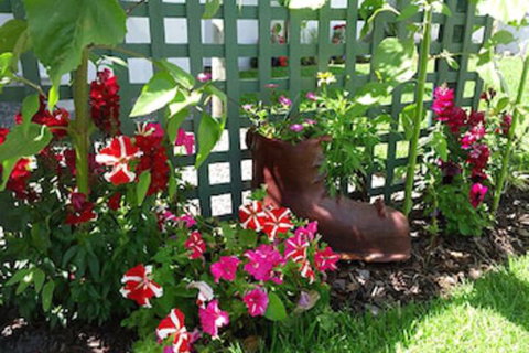 Albany Bayview Lodge YHA - New South Wales Tourism  0