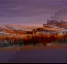 Wombat Hills Cottages - New South Wales Tourism 