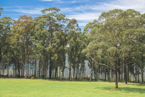 The Jackson Ranch - New South Wales Tourism  4