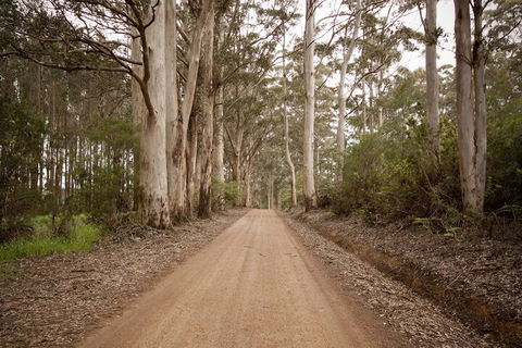 Sensational Heights Bed & Breakfast - New South Wales Tourism  1