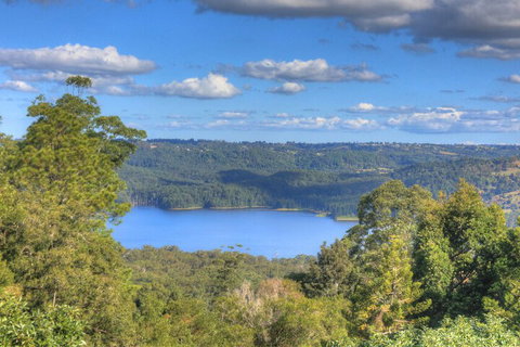 Montville Misty View Cottages - New South Wales Tourism  1