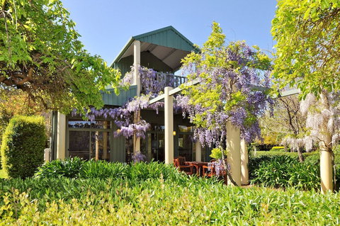 Tree Elle - New South Wales Tourism  1