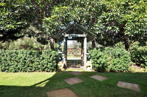 Tree Elle - New South Wales Tourism  2